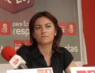 El PSOE propone las oficinas municipales de la calle Del Conde para trasladar el Ayuntamiento