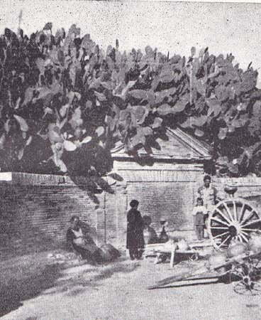 Fuentes de la Peñuelas en 1956