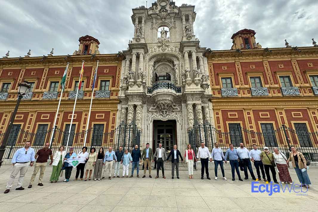 AlcaldesSanTelmo Alcaldes del Área Sanitaria de Osuna piden un entrevista con el presidente