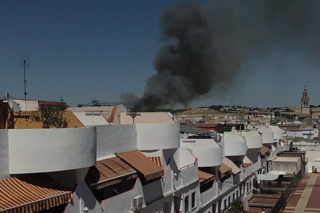Columna de humo del incendio