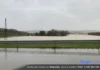 Agricultores y ganaderos de Écija reciben más de 16,4 millones de euros en ayudas por las borrascas Río Genil tras la autovia