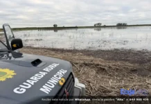 Más de 850.000 euros destinará Fuentes de Andalucía al arreglo de los caminos dañados por los temporales Caminos Fuentes de Andalucía