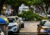 Cae sobre un coche parte de un árbol en la Avenida de los Emigrantes árbol emigrantes