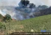 Varios incendios activos en los alrededores de Écija y zonas industriales Incendio en los alrededores de Écija