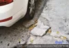 A quién corresponda Denuncia, queja, sugerencias - Calle Antequera