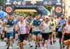 Más de 600 participantes terminan la XX Carrera Nocturna «Ribera del Genil» Carrera Nocturna 2026 - Ribera del Genil